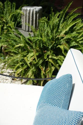 a blue tie sitting next to a green plant at Sentho Roma in Rome