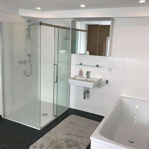 a bathroom with a glass shower and a sink at Ferienwohnung Felinenhof in Weilerswist