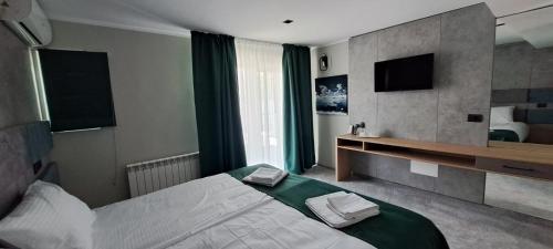 TV a/nebo společenská místnost v ubytování Hotel Plutitor Lebăda