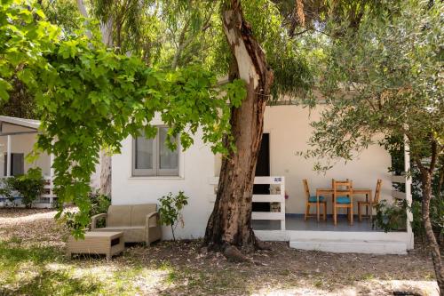 a house with a table and chairs under a tree at Villaggio Campeggio Nettuno di Paestum in Paestum