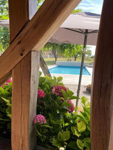 Petite dépendance vue piscine