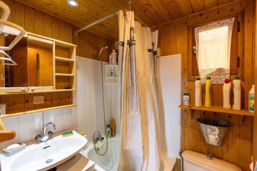a bathroom with a shower and a sink and a toilet at Chalet Sérénité - Tranquillité et Très Belle Vue in Puyvalador