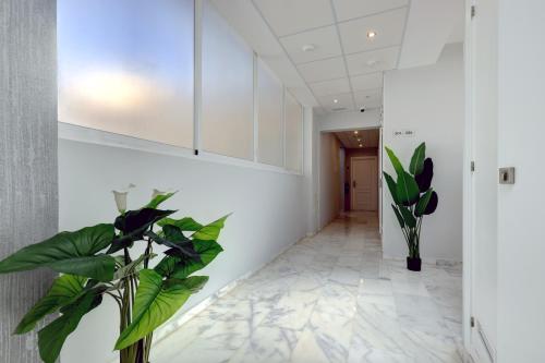 Fotografie z fotogalerie ubytování Hostal 37 v destinaci Estepona