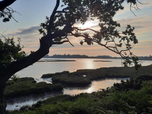 um pôr-do-sol sobre um corpo de água com uma árvore em River View em Aldeburgh