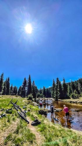 a group of people standing in a river at Pension Harrachov in Harrachov