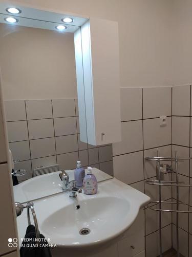 a bathroom with a white sink and a mirror at UbytkoMácháč in Staré Splavy