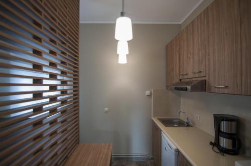 a kitchen with a wooden wall and a sink at Ariadnes Holiday Accommodation in Apidias Lakos
