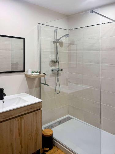 une salle de bain avec douche et lavabo dans l'établissement The Rooms of Vilmorais - Red, à Arcomps