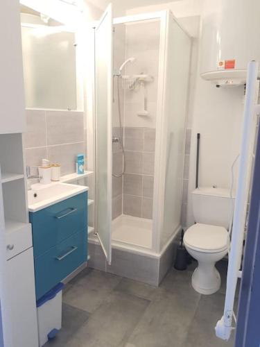 une salle de bain avec une douche, des toilettes et un lavabo dans l'établissement Charmant T1 Barcarès Soleil Bleu, au Barcarès