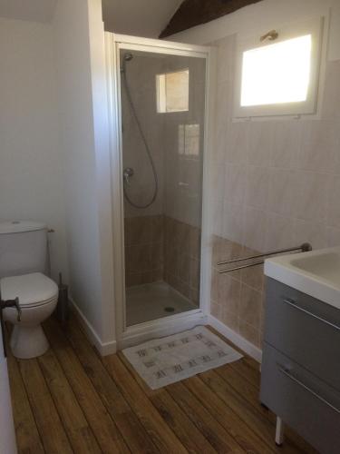 une salle de bain avec une douche, des toilettes et un lavabo dans l'établissement Château Laborde Caudalie, à Saint-Médard-de-Guizières