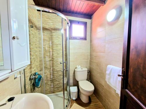 ein Bad mit einer Dusche, einem WC und einem Waschbecken in der Unterkunft Casa Rural Giovanni & Rosa B Icod de los Vinos by HRTenerife Net in Icod de los Vinos
