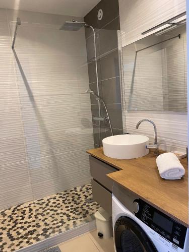 une salle de bain avec un lavabo et une machine à laver dans l'établissement LE LOFT SOMMEILLER 19*** Près du Lac, à Annecy