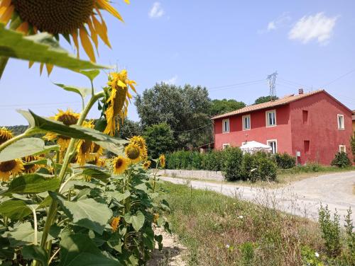 a field of sunflowers in front of a red house at La Casa Rossa in Coiano