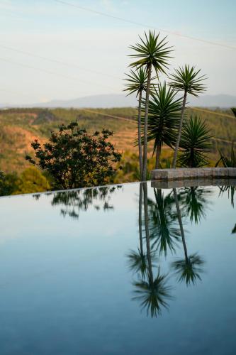 a reflection of palm trees in a pool of water at Salgadinho Casa de Campo & Selao da Eira Velha in São Teotónio