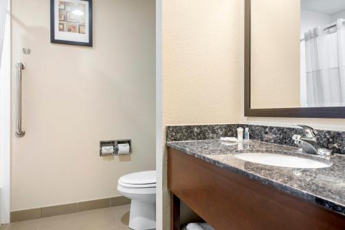 a bathroom with a sink and a toilet at Comfort Suites Lafayette University Area in Lafayette
