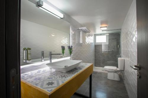 拉納卡的住宿－開拓者公寓式酒店，一间带水槽和卫生间的浴室