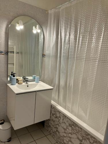 une salle de bain blanche avec un lavabo et un miroir dans l'établissement Confort & style dans ce joli appartement de 44 m2, chambre séparée, PLEIN CENTRE de Dole, à Dole