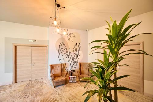 a living room with two chairs and a potted plant at Hotel Malibu in Mamaia