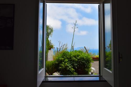 an open door with a view of a garden at IL GIARDINO SELVATICO DI SUCCELLARIO - APARTMENTS in Ischia