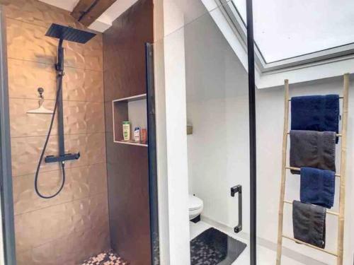 uma casa de banho com um chuveiro e um WC. em Suzy home em Moisenay