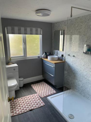 uma casa de banho com um chuveiro, um lavatório e um WC. em New Forest View em Beaulieu