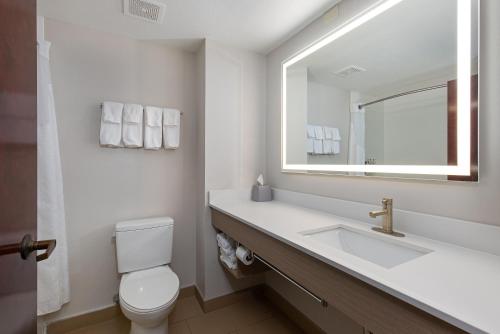 uma casa de banho com um lavatório, um WC e um espelho. em Holiday Inn Express Savannah South I-95 Richmond Hill, an IHG Hotel em Richmond Hill