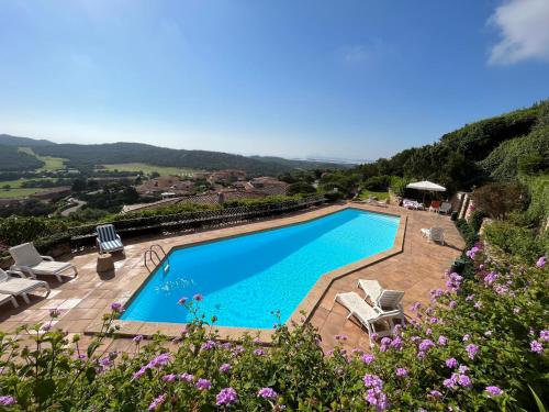 a view of a swimming pool with chairs and flowers at Costa Smeralda appartamento Pevero Golf in Arzachena