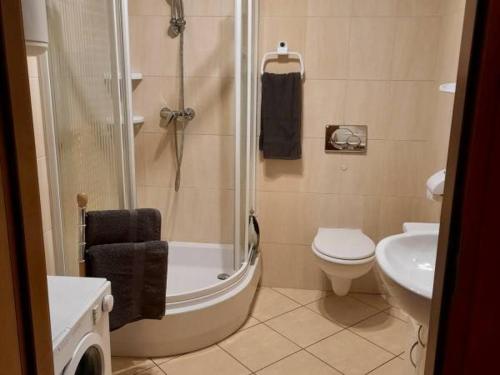 Ένα μπάνιο στο Apartament Zakopane