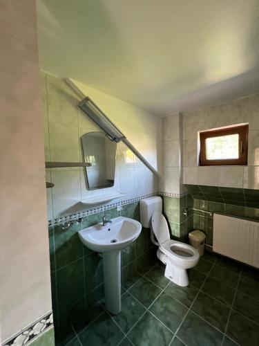 a bathroom with a white toilet and a sink at Roua Muntelui in Sărata-Monteoru