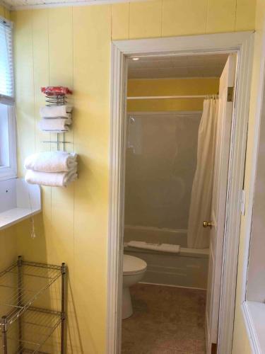 a bathroom with a toilet and a shower with towels at Lakelawn B&B and Motel in Yarmouth