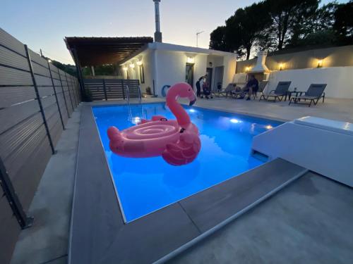 a swimming pool with a pink swan in the water at Villa Foteini Gerakari Mountain Resort in Yerakárion