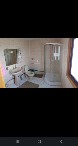 a bathroom with a shower and a toilet and a sink at Cabana ciocanu in Şirnea