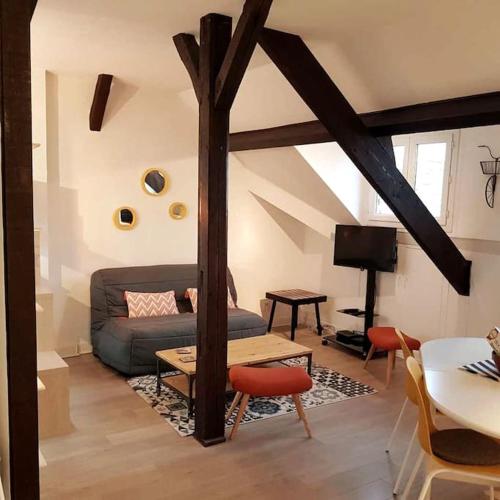 PLEIN CENTRE TRES GRAND STUDIO