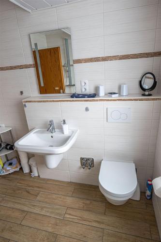 a bathroom with a sink and a toilet and a mirror at Ferienwohnung Schleiblick in Maasholm