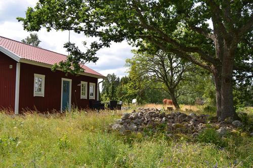 a red house with a tree and a horse in a field at Vimmerby Stugby in Vimmerby
