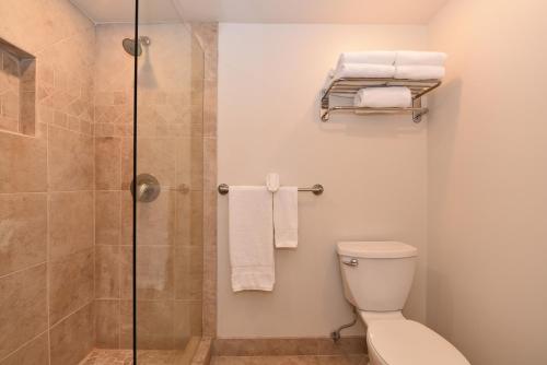 a bathroom with a shower and a toilet and towels at Kaanapali Plantation #52 Condo in Lahaina