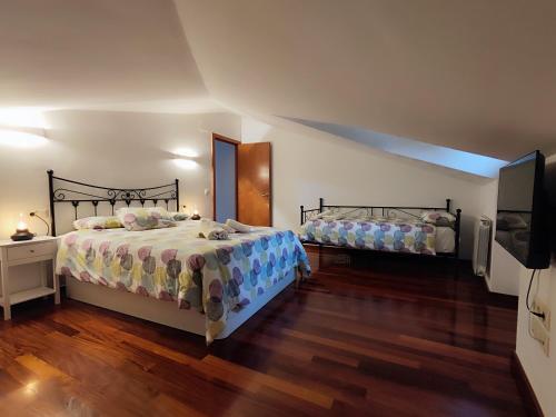 a bedroom with two beds and a flat screen tv at Can Manén in Camprodon