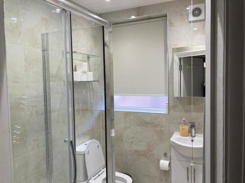 y baño con ducha, aseo y lavamanos. en TWIN TOWERD HOTEL en Londres