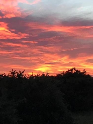 a sunset in the sky with trees in the foreground at New Forest View in Beaulieu