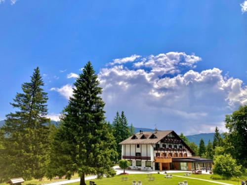 un grand bâtiment dans un champ avec un arbre dans l'établissement Hotel Piccola Baita, à Molveno