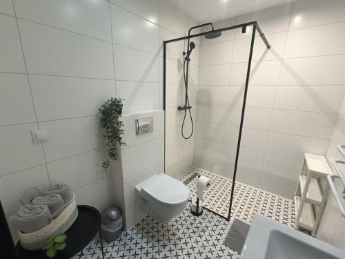 a bathroom with a shower with a toilet and a sink at Pokoje Gościnne - Jagodzianka in Starogard Gdański