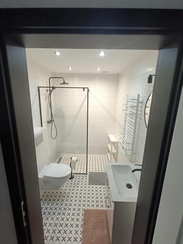 a bathroom with a shower and a toilet and a sink at Pokoje Gościnne - Jagodzianka in Starogard Gdański