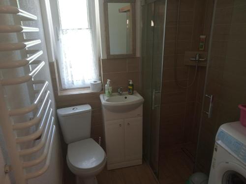ein Bad mit einem WC, einem Waschbecken und einer Dusche in der Unterkunft Domek w lesie in Biłgoraj