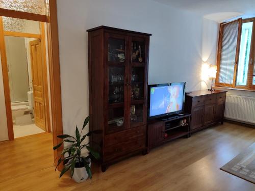 uma sala de estar com televisão e um centro de entretenimento em Shiny Thumb Apartment em Bihać