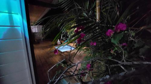 a plant with purple flowers in a room at Villa Ananda in Cilaos