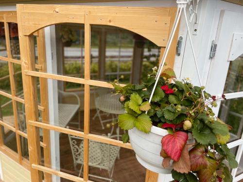 a flower pot hanging from a door with a plant at Paide B&B in Paide