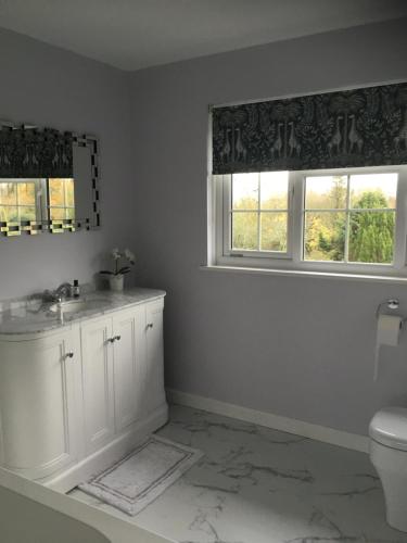 a bathroom with a sink and a toilet and two windows at Farriers in Chittlehamholt