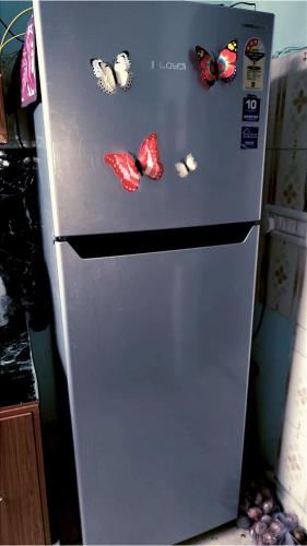 a refrigerator with butterflies on it in a kitchen at Luxurious 3 BHK Flat in Ghaziabad in Ghaziabad