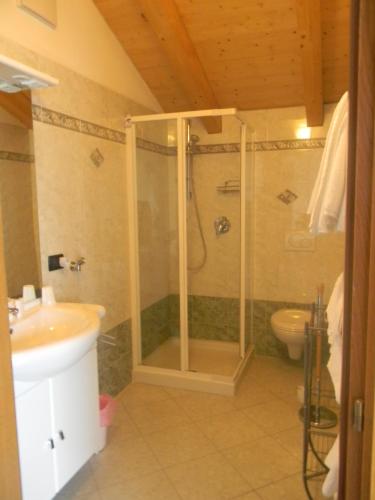 a bathroom with a shower and a sink and a toilet at Agritur Vista Lago in Revò