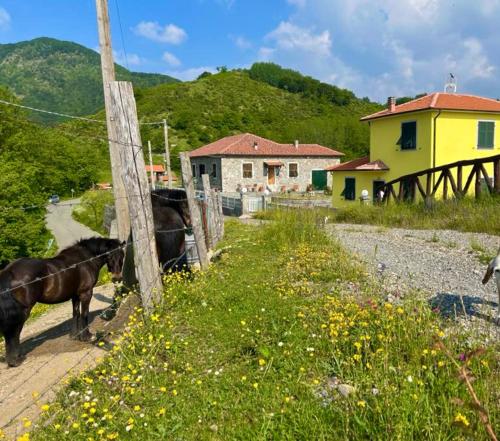 Foto Colle del Faggio Nature Home 1